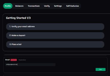 Email Verification in Profile